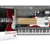 NI_Scarbee_Jay-Bass